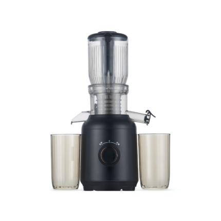 250W Electric Cold Press Juicer for Household Car RV & Hotel Use 600ml Juice Container 103mm Large Caliber & Slow Juicing