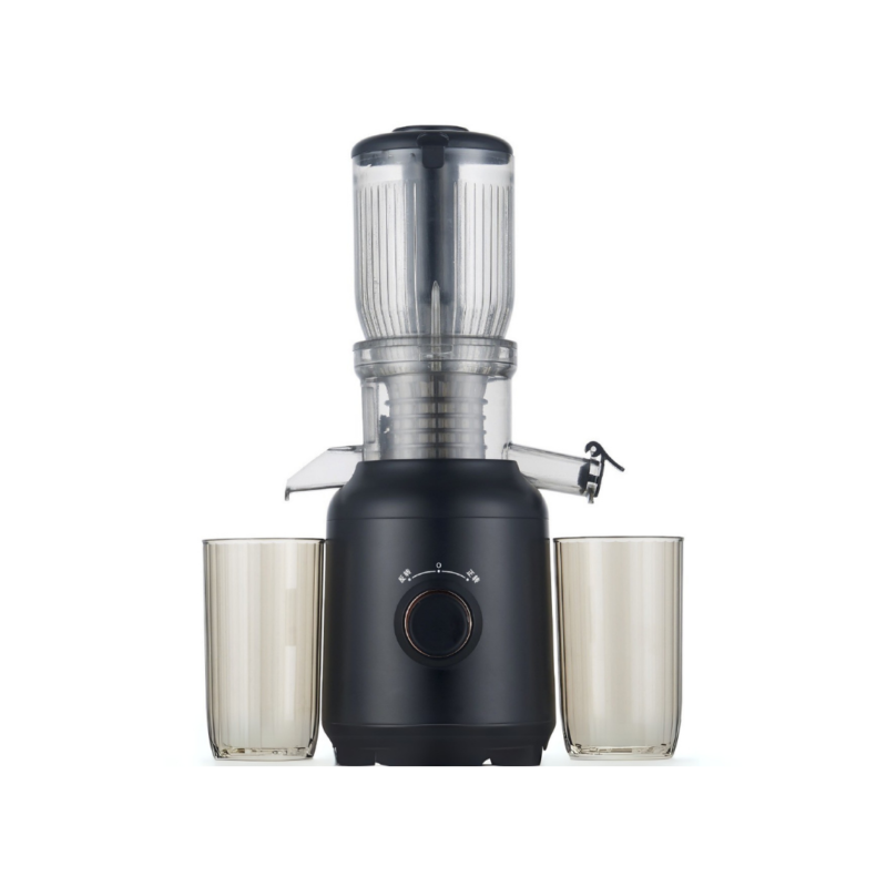 Cold Press Juicer, 250W, 600ml, 103mm Caliber